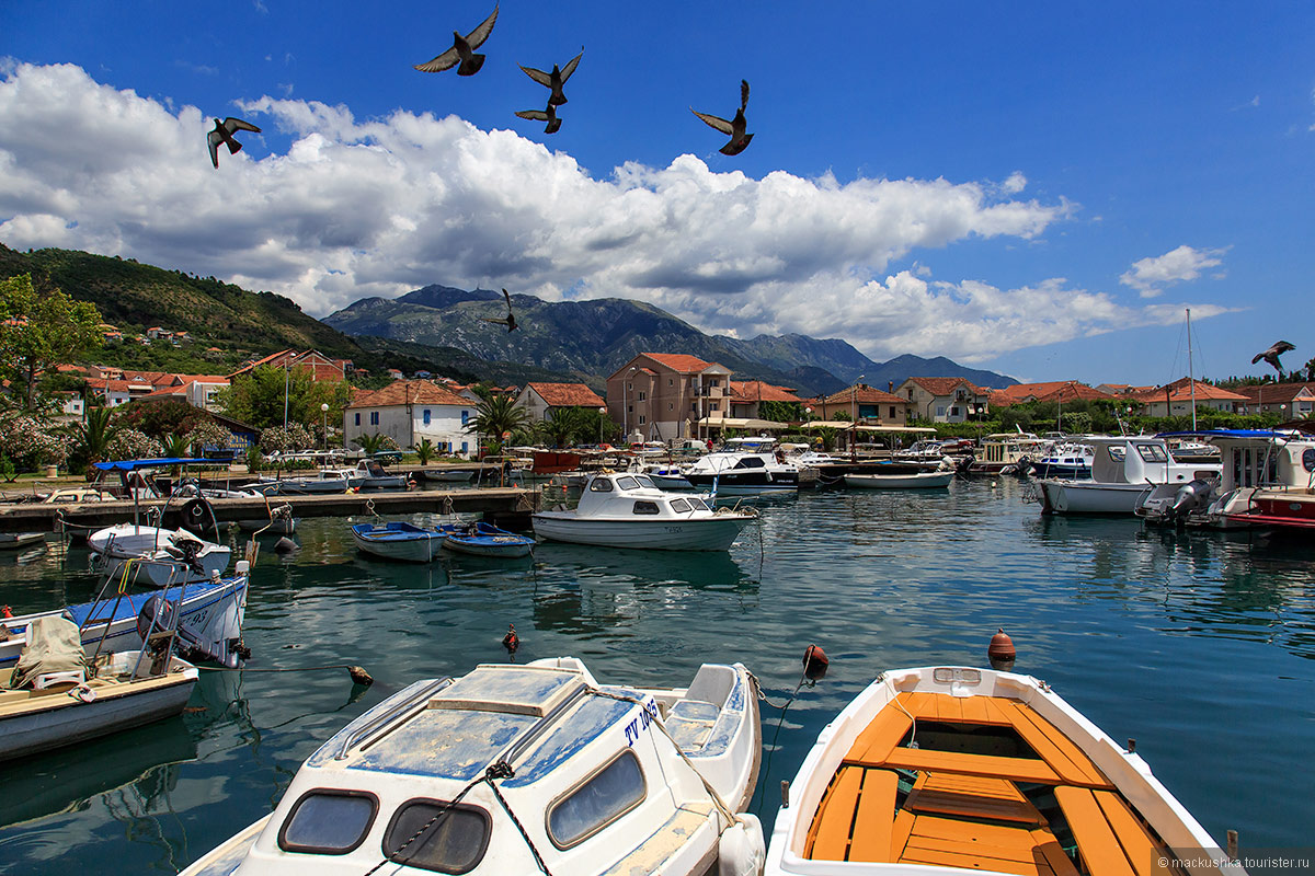 Tivat
